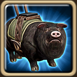 Draken-loving Boar.png
