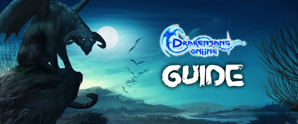 DSO Guide banner.png
